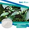 CAS 24159-07-7